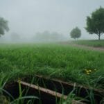 Drain Field Replacement