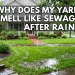 yard smells like sewage after rain